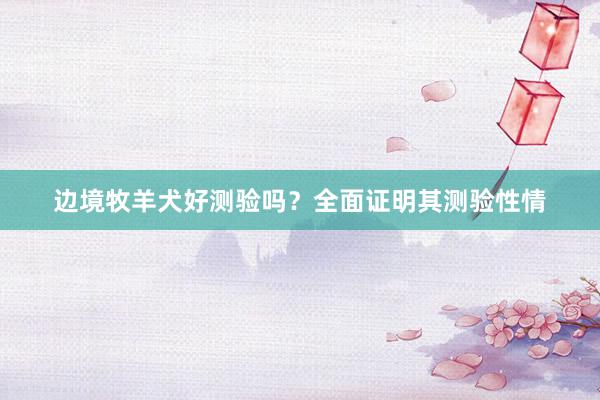 边境牧羊犬好测验吗？全面证明其测验性情